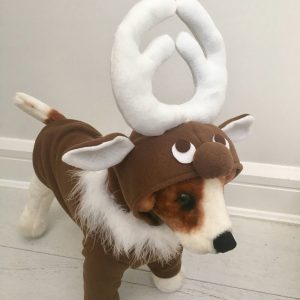 No Image Found