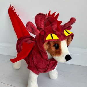 No Image Found