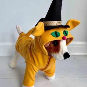 No Image Found