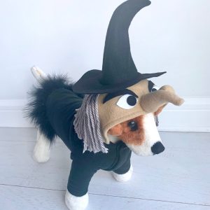 No Image Found