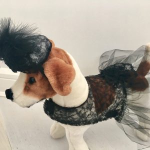 No Image Found