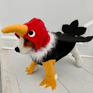 No Image Found
